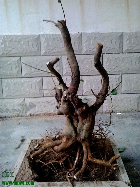 20140321_175858__.jpg