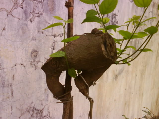 DSC01521.JPG