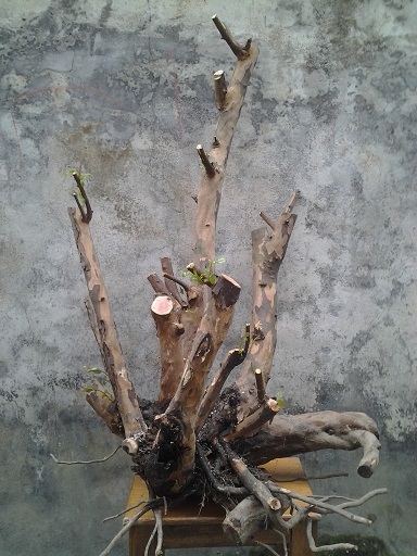 20140322_160233.jpg