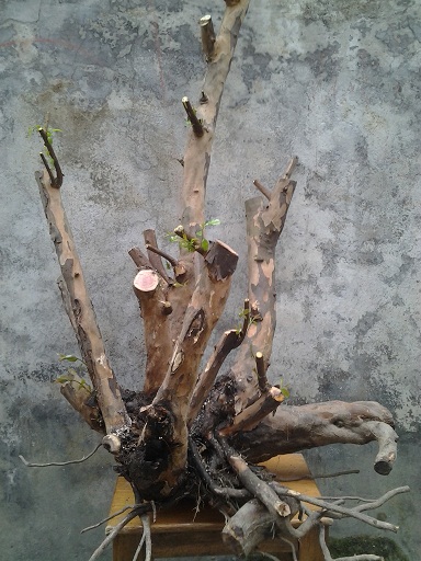 20140322_160246.jpg