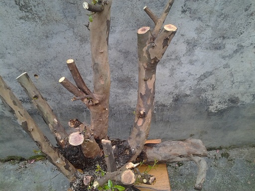 20140322_160256.jpg