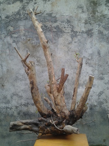 20140322_160334.jpg