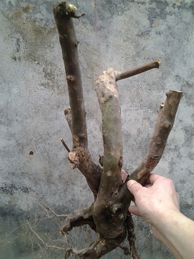 20140322_160425.jpg