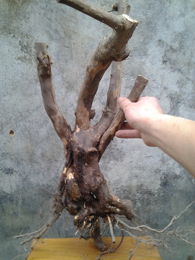 20140322_160444.jpg