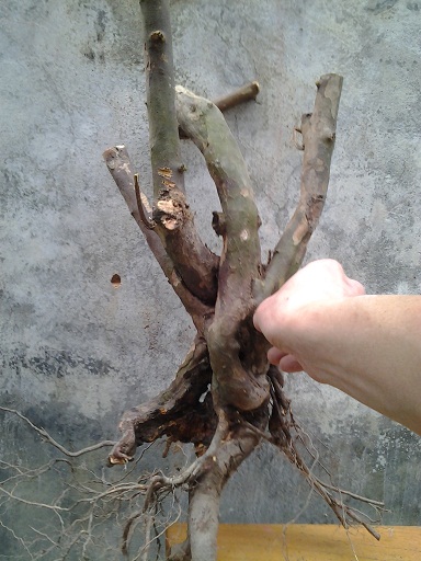 20140322_160515.jpg
