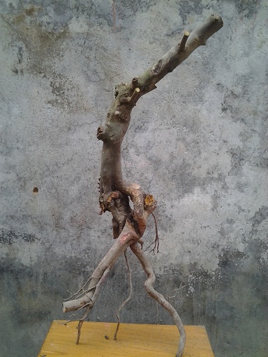 20140322_160540.jpg