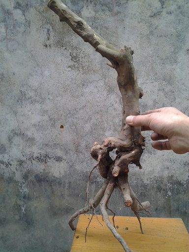 20140322_160617.jpg