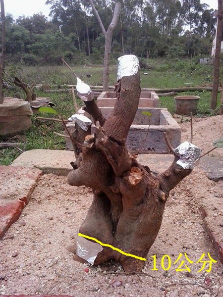 20140323_124234__.jpg