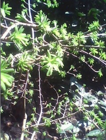 QQͼƬ20140323191834.jpg