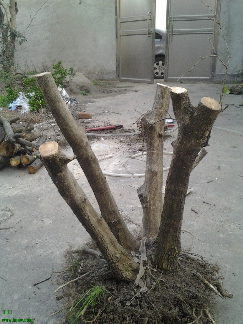 20140322_172159-1.jpg