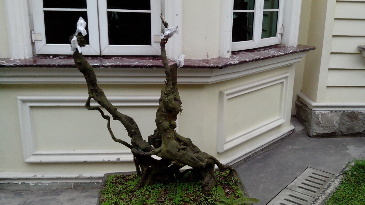 IMG_20140323_103916.jpg