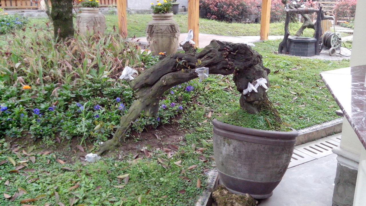 IMG_20140323_103925.jpg