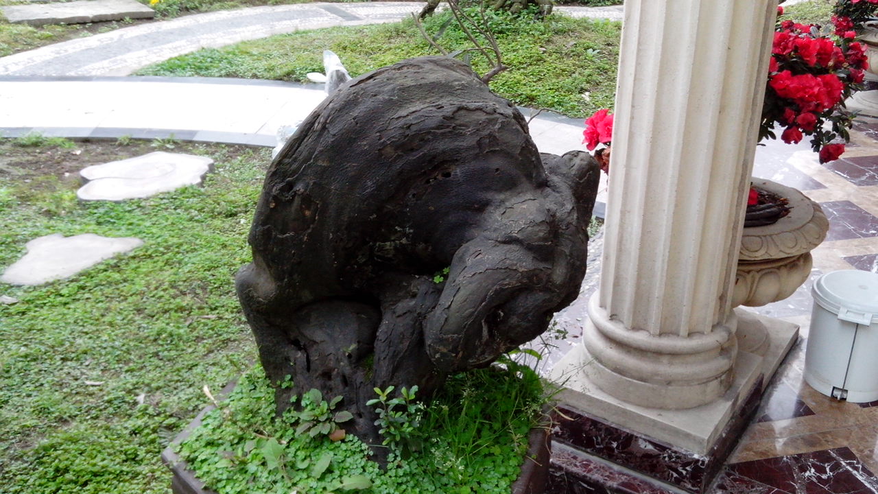 IMG_20140323_104002.jpg