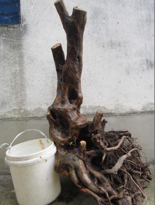 QQͼƬ20140324172815.jpg