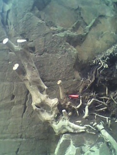 QQͼƬ20140324173705.jpg