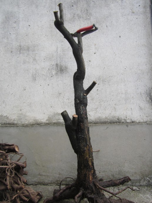 QQͼƬ20140324172857.jpg
