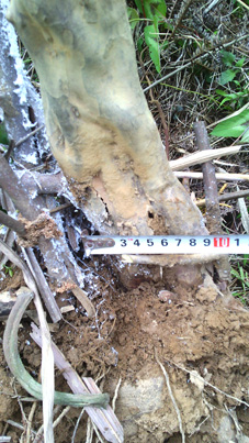 180,ֱ10CM