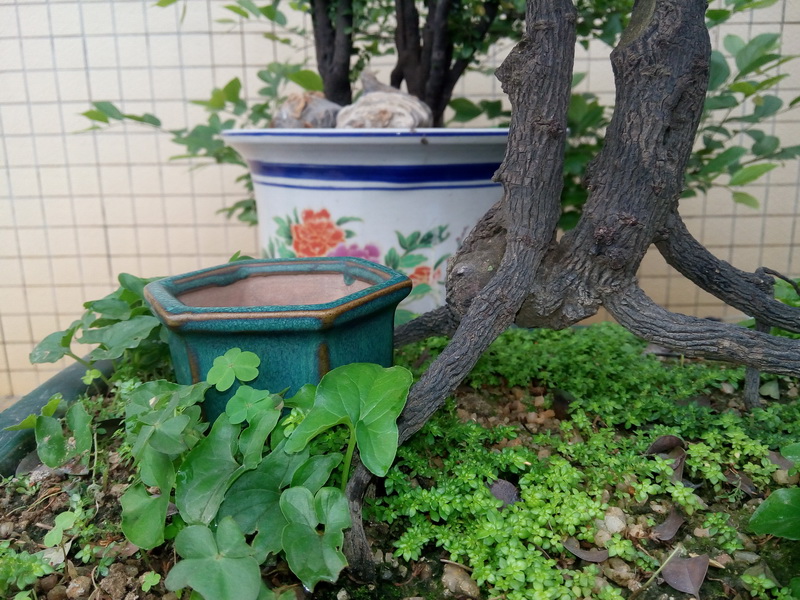 09_С.jpg