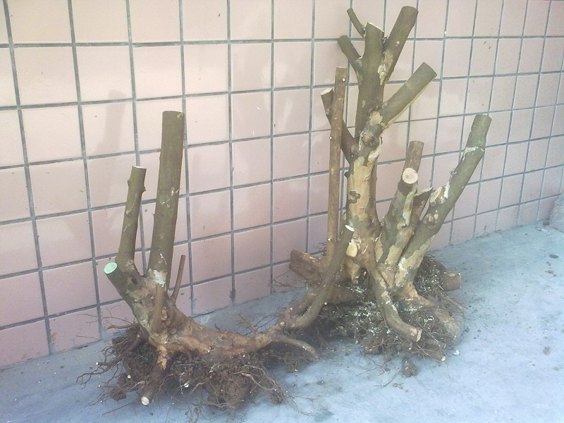 201403264773.jpg