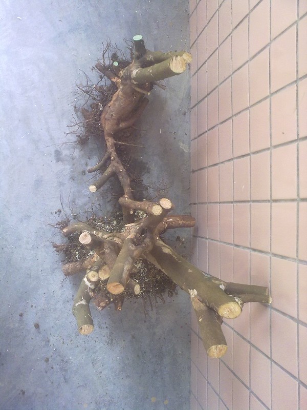 201403264774.jpg