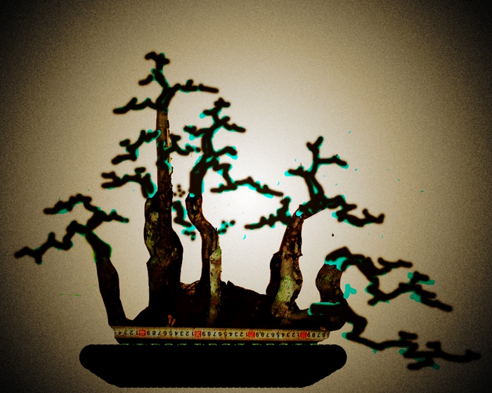 δ-11111111 .jpg