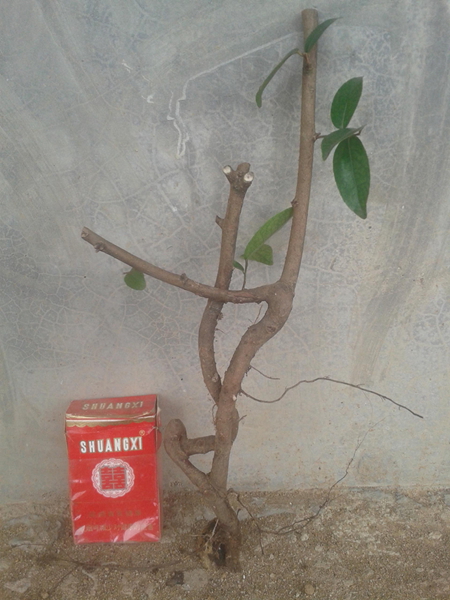 20140329_105836.jpg