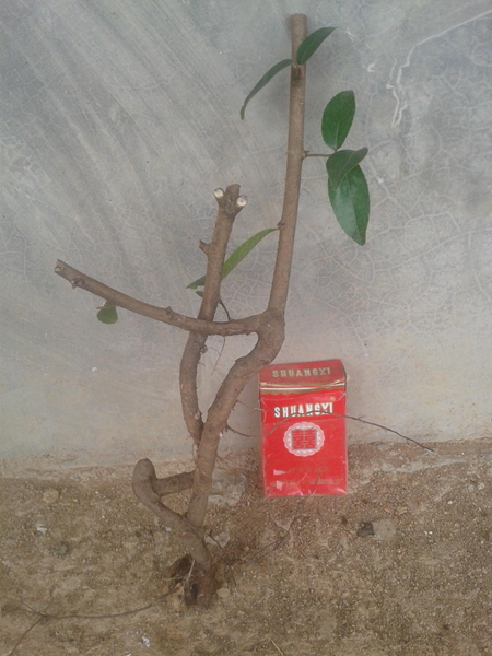 20140329_105855.jpg