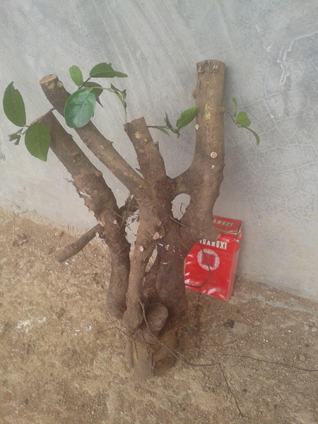 20140329_111607.jpg
