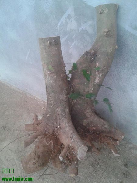 20140329_172700.jpg