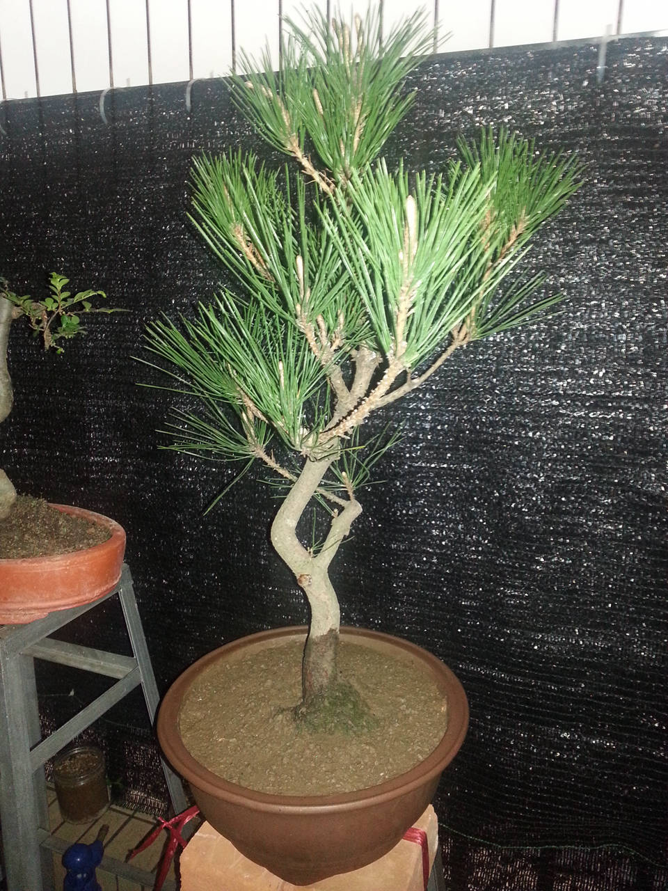 20140330_124931_.jpg