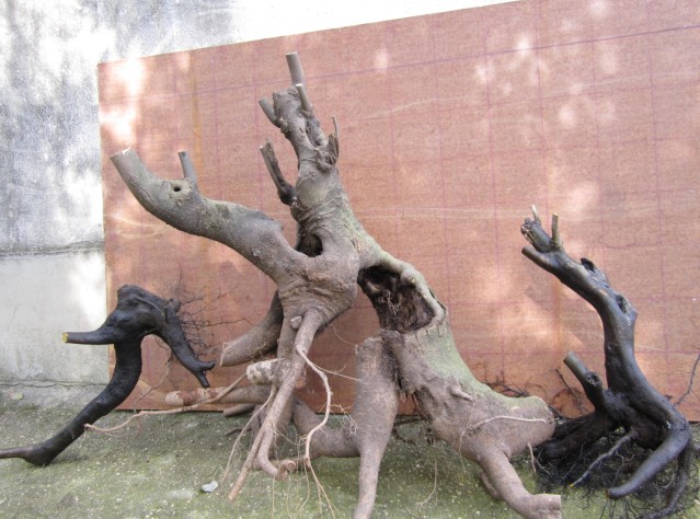 QQͼƬ20140330175338.jpg