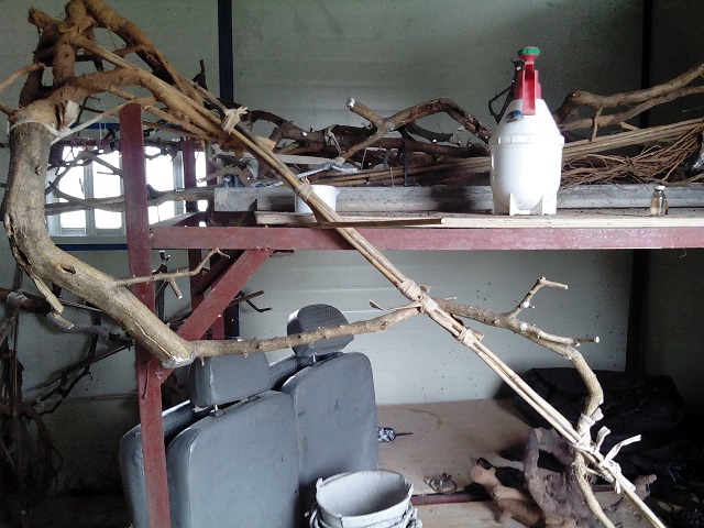 IMG20140330120108.jpg