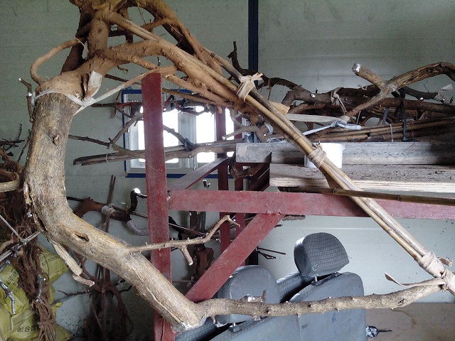 IMG20140330120121.jpg