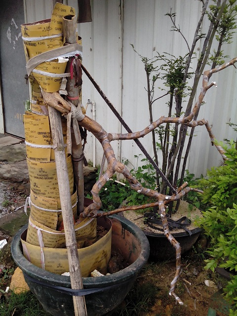 IMG20140330103150.jpg