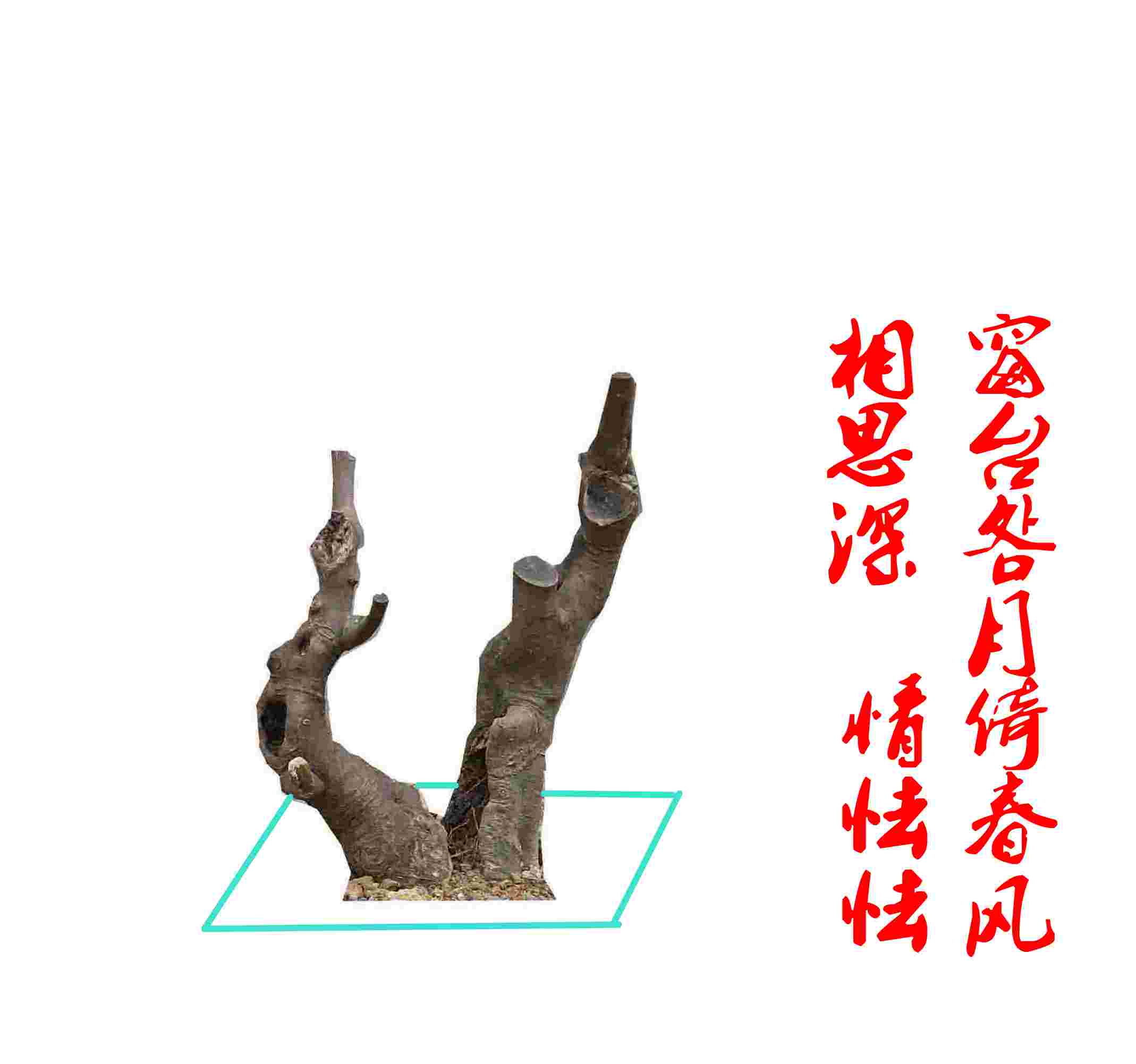 DSCF0432.JPG