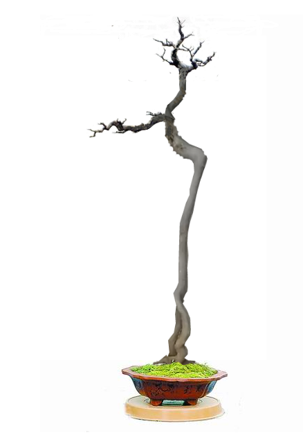 591318d8bc3eb135459edf1ca41ea8d3fc1f44d1.png