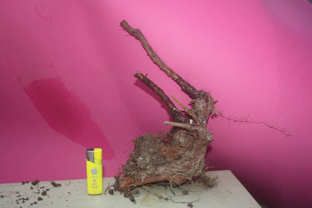 Ƭ20131026ۺ 1063.jpg