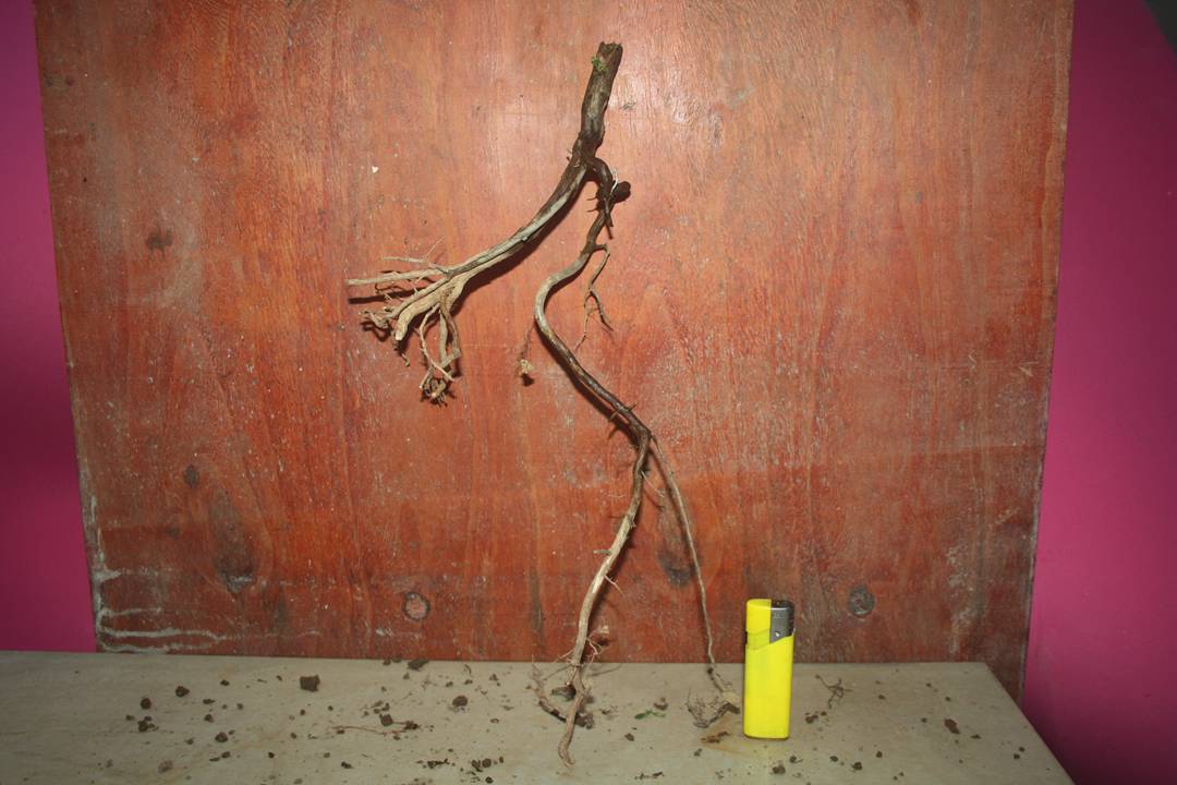 Ƭ20131026ۺ 1073.jpg