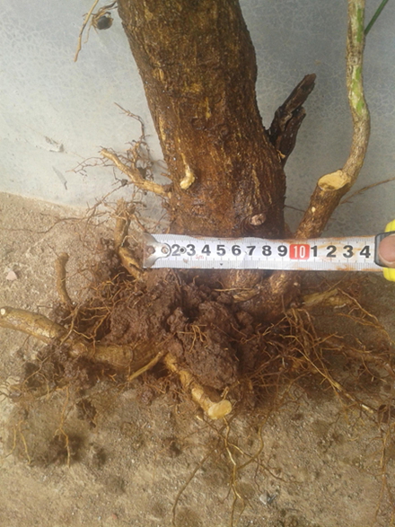 20140331_144333.jpg