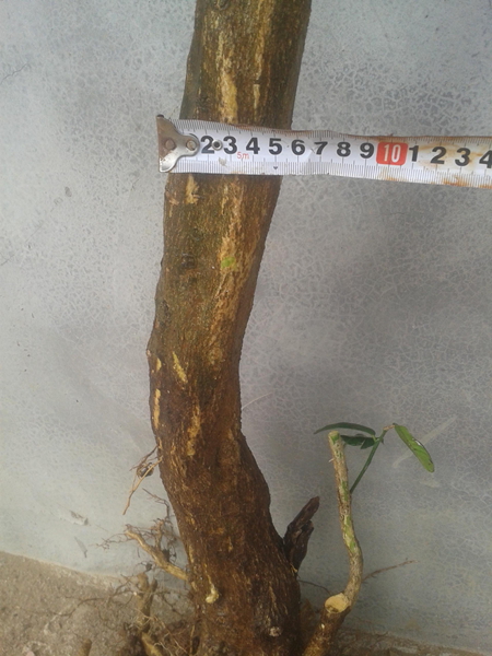 20140331_144346.jpg