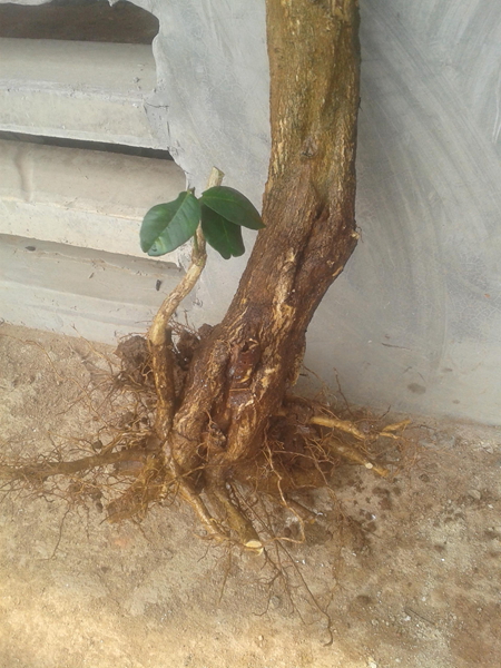 20140331_144526.jpg