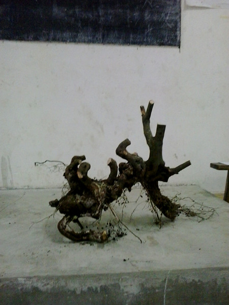 20140330_195235_.jpg