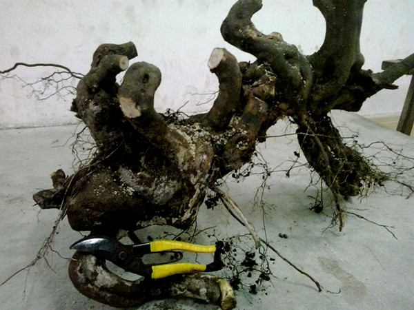20140330_195307_.jpg