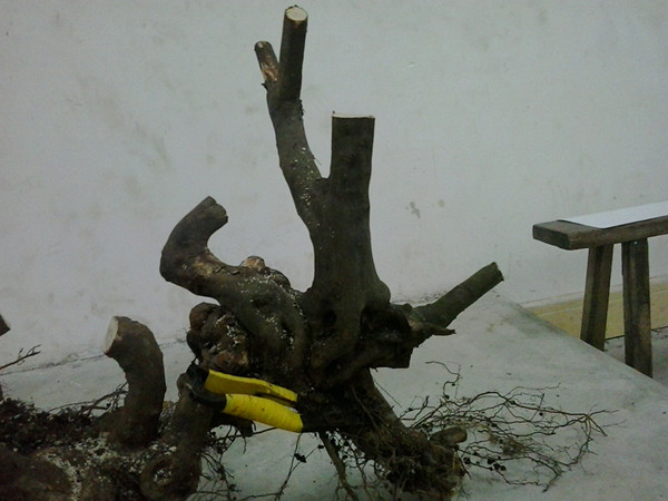 20140330_195348_.jpg