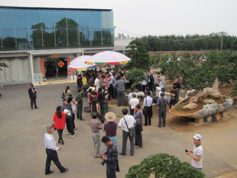 ֳ (2).jpg