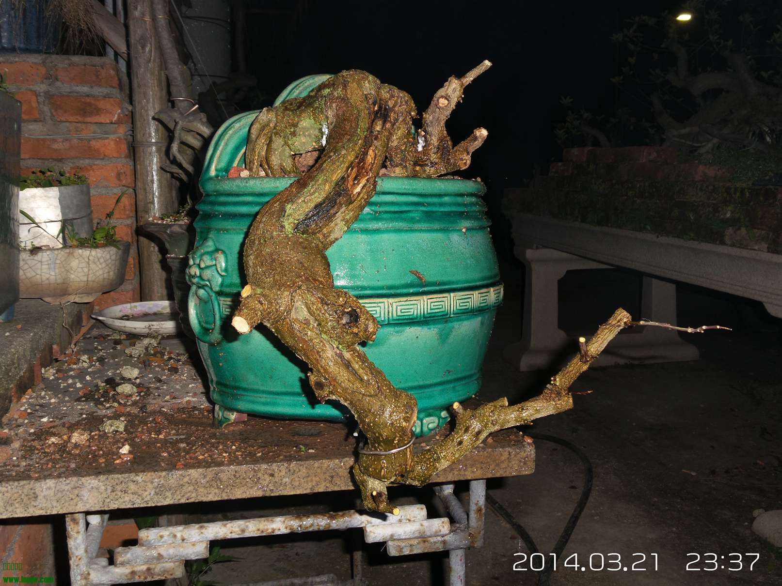 20140321_233757.jpg