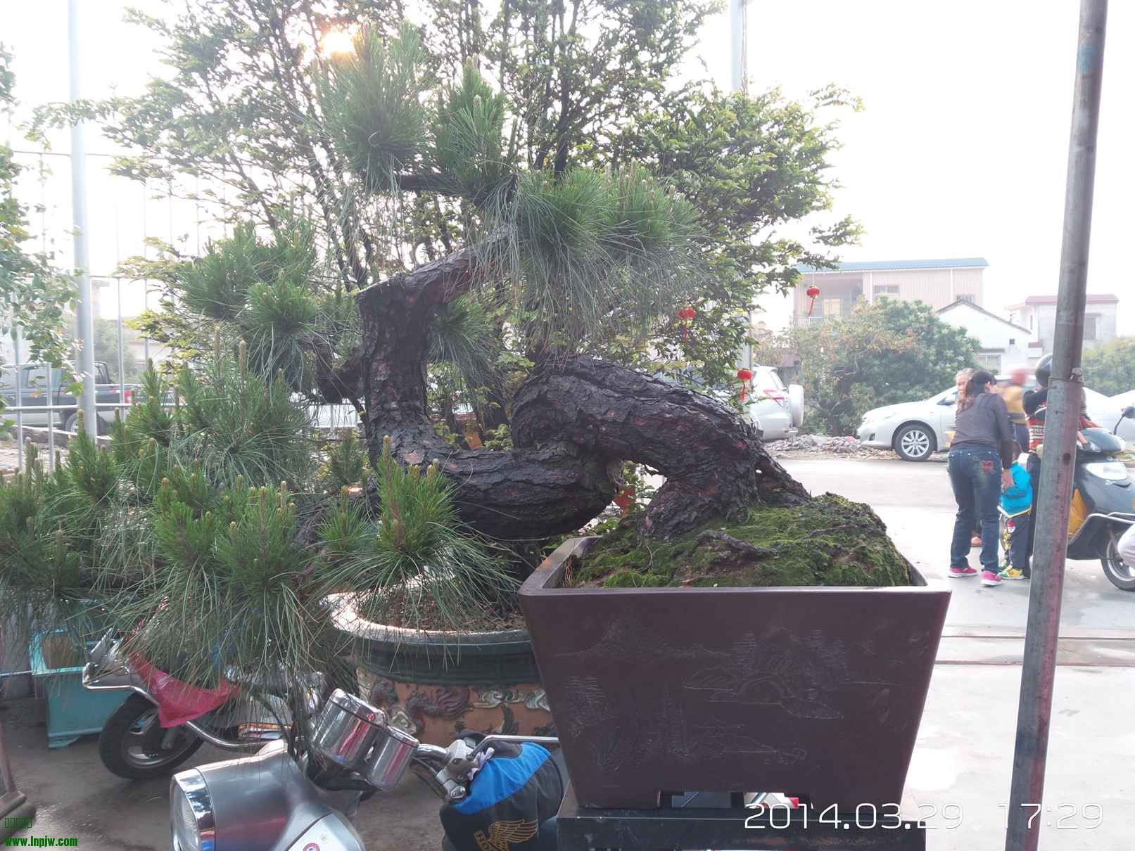 20140329_172913.jpg