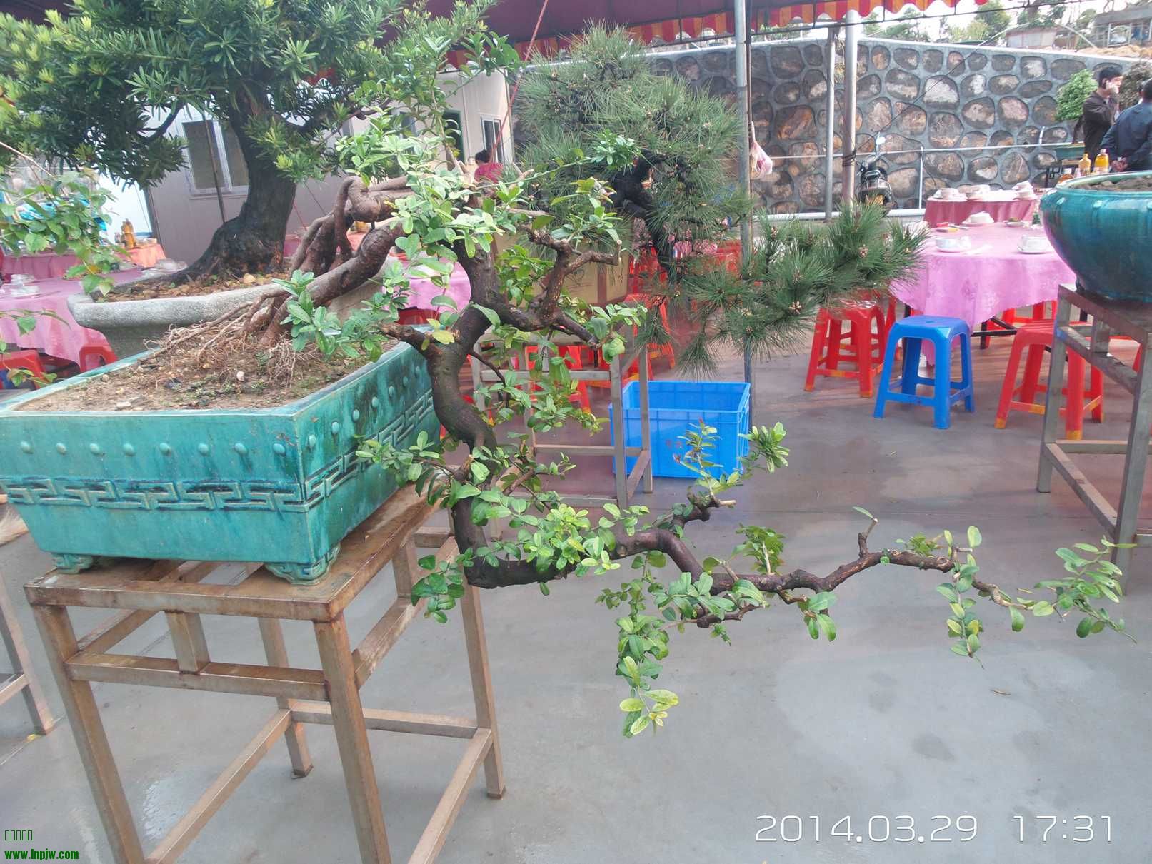 20140329_173111.jpg