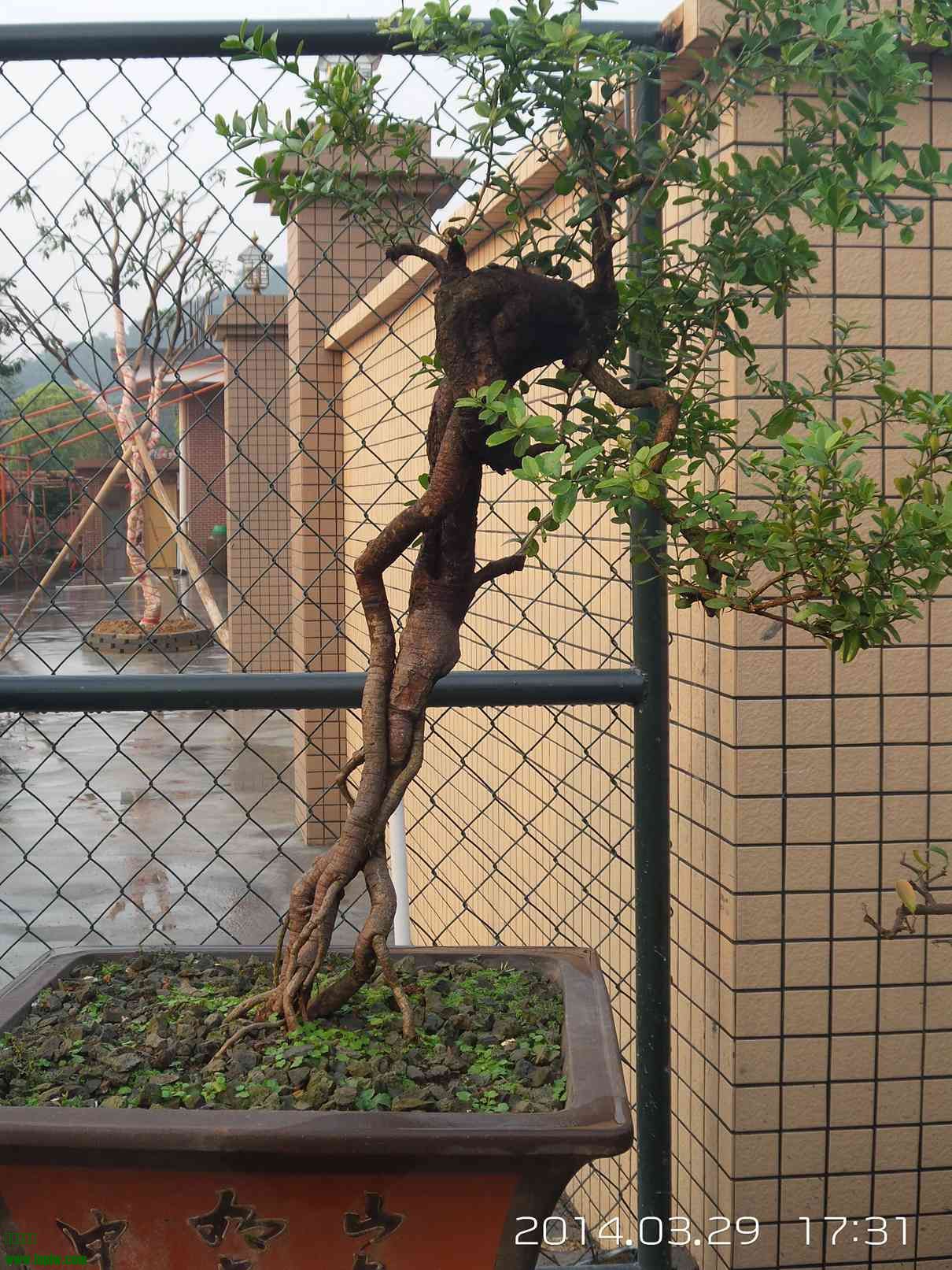 20140329_173130.jpg