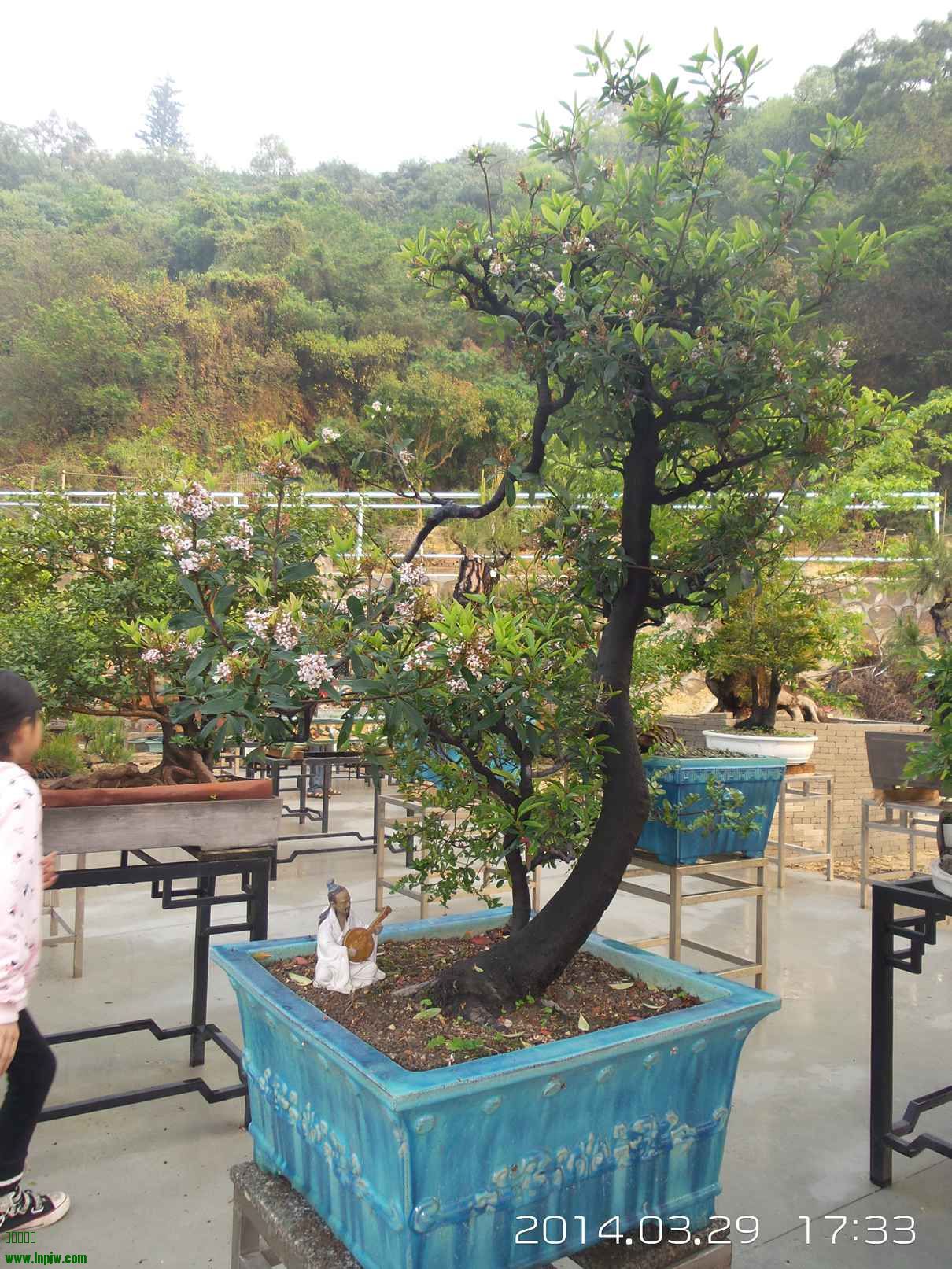 20140329_173345.jpg